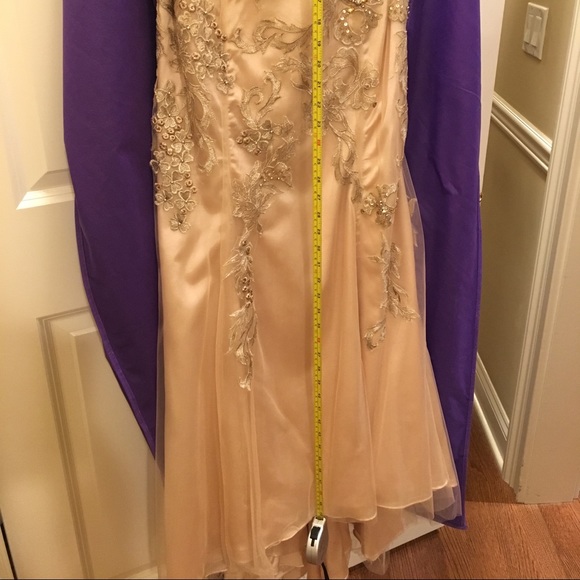 Beautiful Champagne gown. Mother of bride/prom - Picture 7 of 8